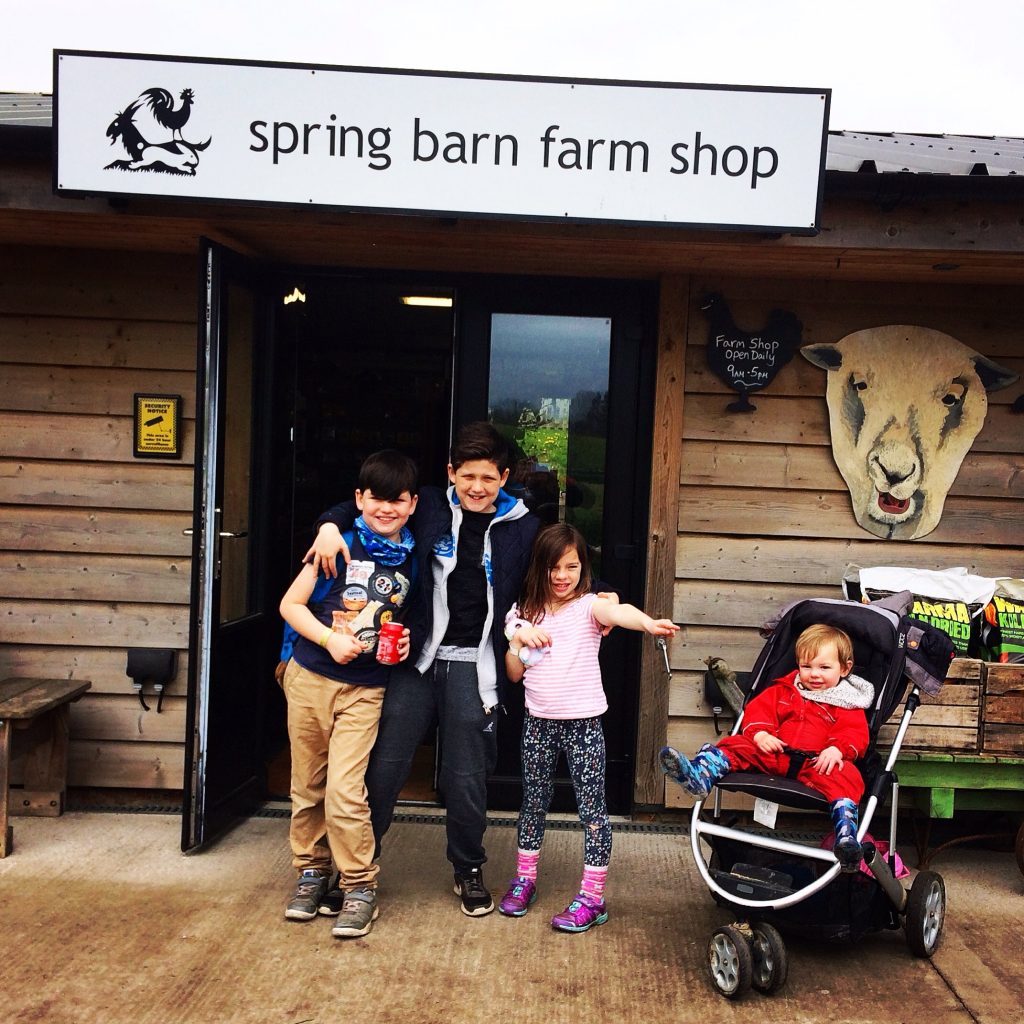 Scream Barn Farm at Spring Barn Farm, Lewes jugglingonrollerskates